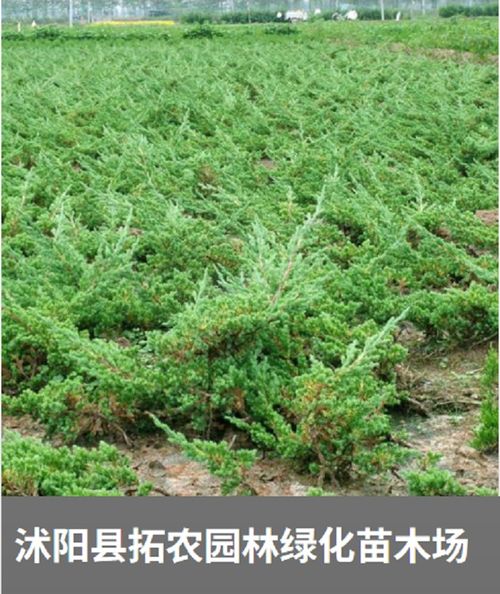 行業(yè)耕耘10年 借助網(wǎng)絡(luò)推廣獲新發(fā)展